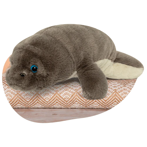 Manatee Mission Collection